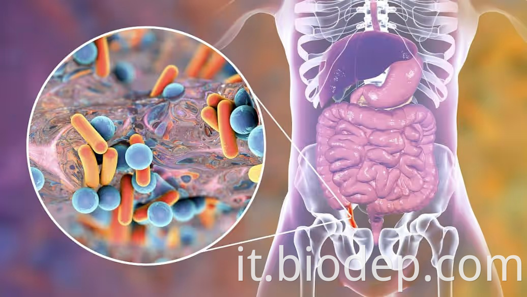 pediococcus acidolactici2